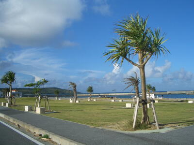 2005/10/3 PM4:58 高野漁港