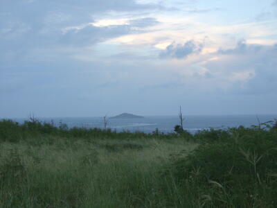 2005/10/3 PM6:05 脇道の草原から大神島が見えた