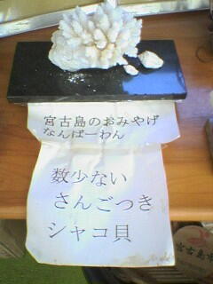 2005/10/4 PM1:20 EEEEEuȂ΁[vāEEEB