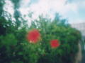2005/10/2 PM4:19 ze}ÃnCrXJX(sz[Be)