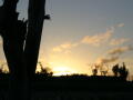 2005/10/4 PM6:16 ӂ獻R֌rBށ`II