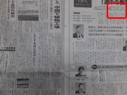全体