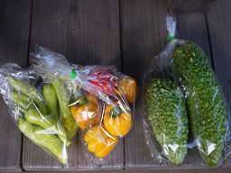 買ったー