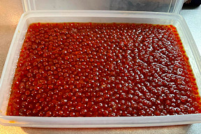 �Ƃ肠�����ł���