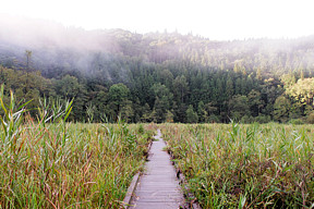 �����������ɍs���Ă���