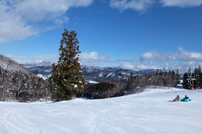 �����[�I