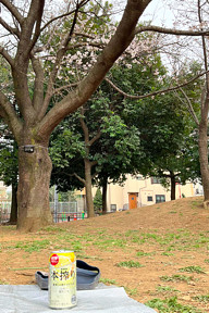 �܂����[�[�[�I�I